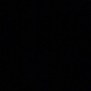 Meet your Posher, Lizzy